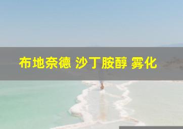 布地奈德 沙丁胺醇 雾化